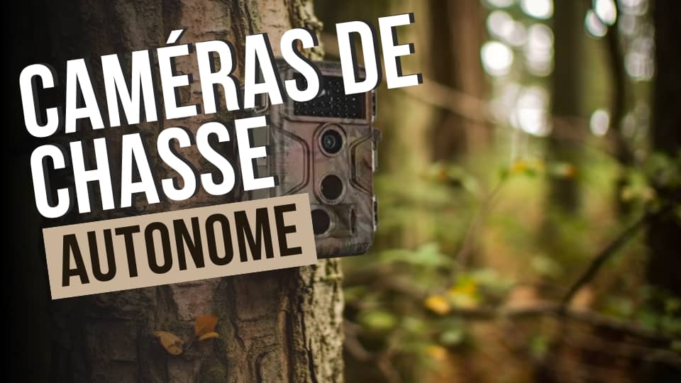 Caméra de chasse autonome : votre alliée pour une observation optimale de la faune