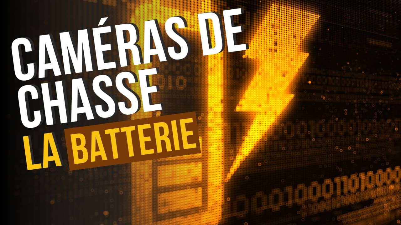 Caméra de chasse : l'importance de la batterie