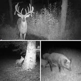photos-d-exemples-camera-de-chasse-a-vision-nocturne