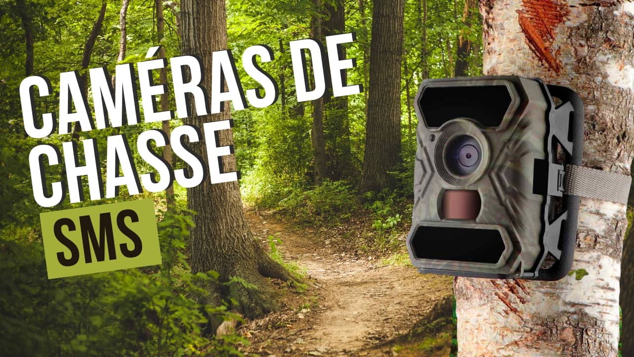 La caméra de chasse SMS : pour observer, protéger et prendre soin de la nature