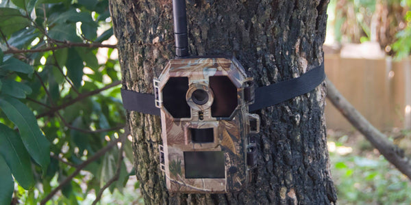 Caméras de chasse Num'Axes : analyse et avis sur leurs performances