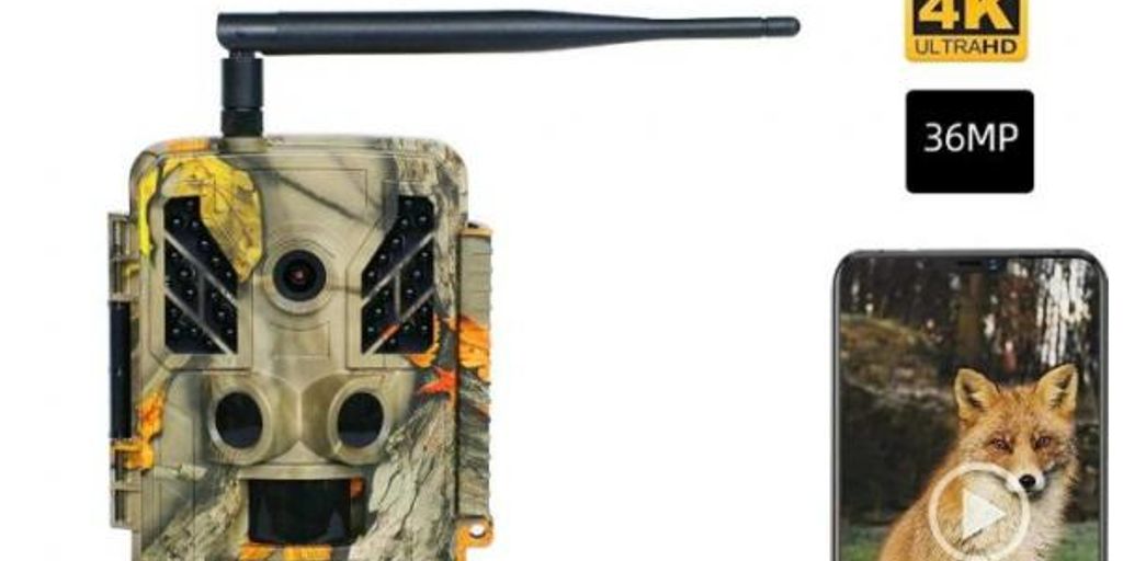 caméra de chasse connectée en forêt