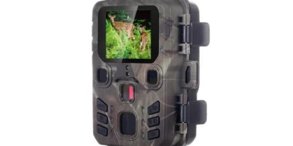 caméra de chasse en forêt